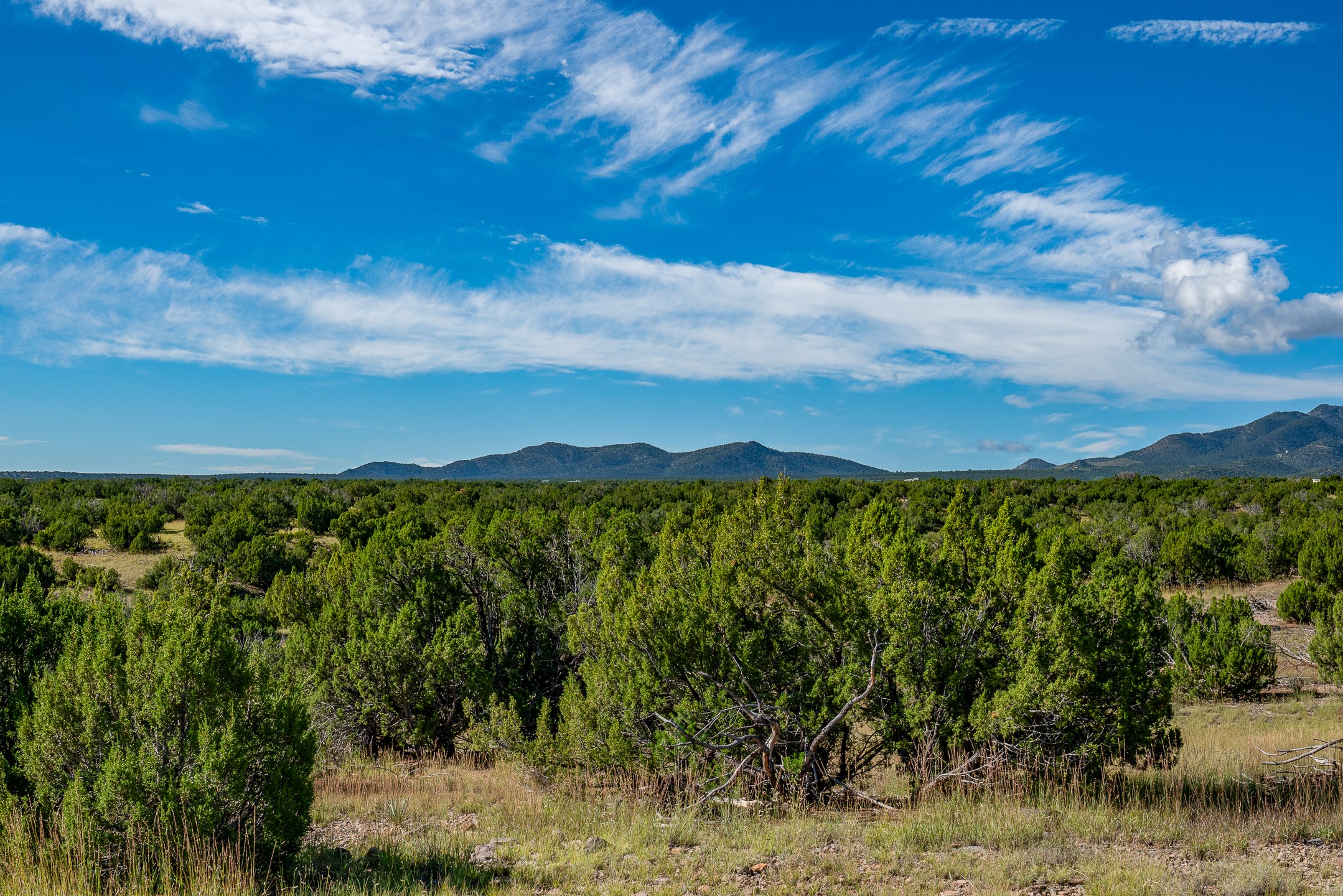 95 Grenfell Ranch Road Cerrillos, NM 87010 - Photo 13 of 47
