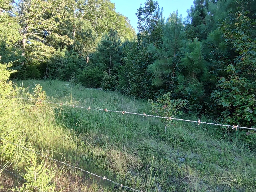 0 McEntire Road Chatsworth, GA 30705 - Photo 6 of 8