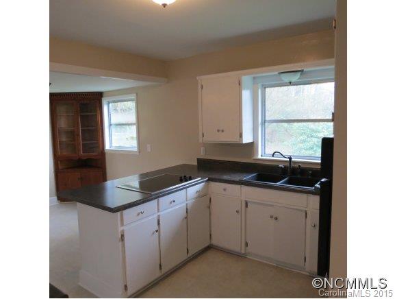 22 Short Sluder Branch Road Leicester, NC 28748 - Photo 8 of 15