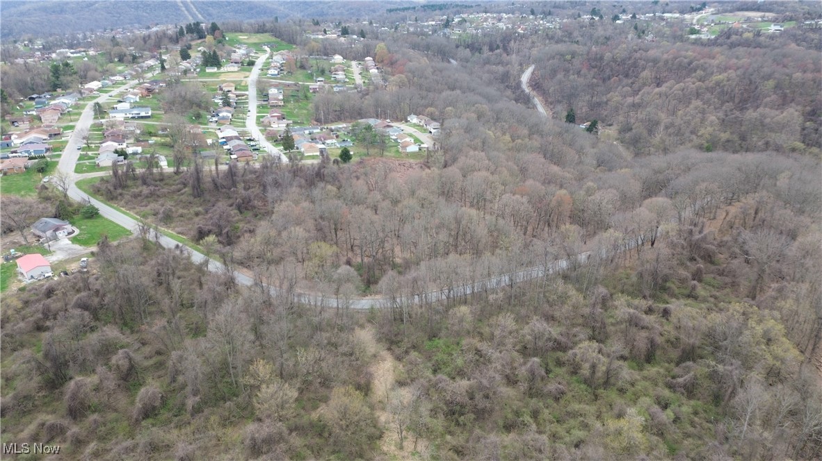 Altamont Road Mingo Junction, OH 43938 - Photo 15 of 18 Birds eye view of property featuring a wooded view