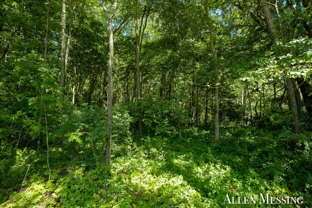 $129,900 | V/l Wildwood Drive, Hastings, MI 49058