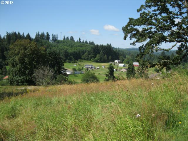 34087 Pittsburg Road St. Helens, OR 97051 - Photo 13 of 14 Gallery Image 13