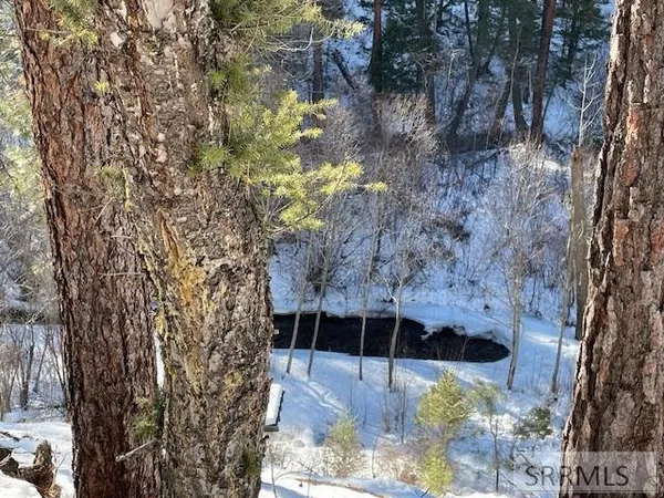 $350,000 | 2811 Highway 93, North Fork, ID 83466