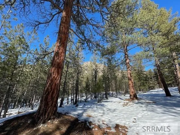 $350,000 | 2811 Highway 93, North Fork, ID 83466