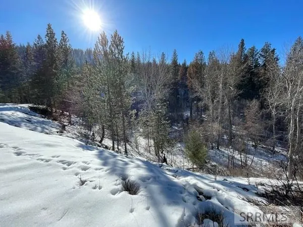 $350,000 | 2811 Highway 93, North Fork, ID 83466