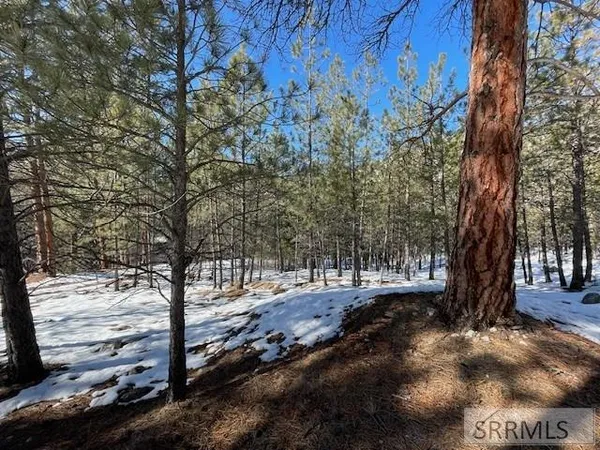 $350,000 | 2811 Highway 93, North Fork, ID 83466