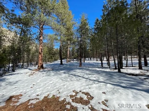 $350,000 | 2811 Highway 93, North Fork, ID 83466