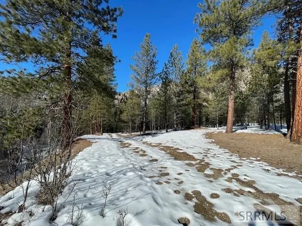 $350,000 | 2811 Highway 93, North Fork, ID 83466