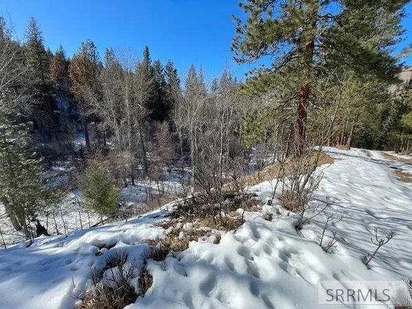$350,000 | 2811 Highway 93, North Fork, ID 83466