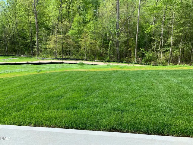 a view of yard with a small yard