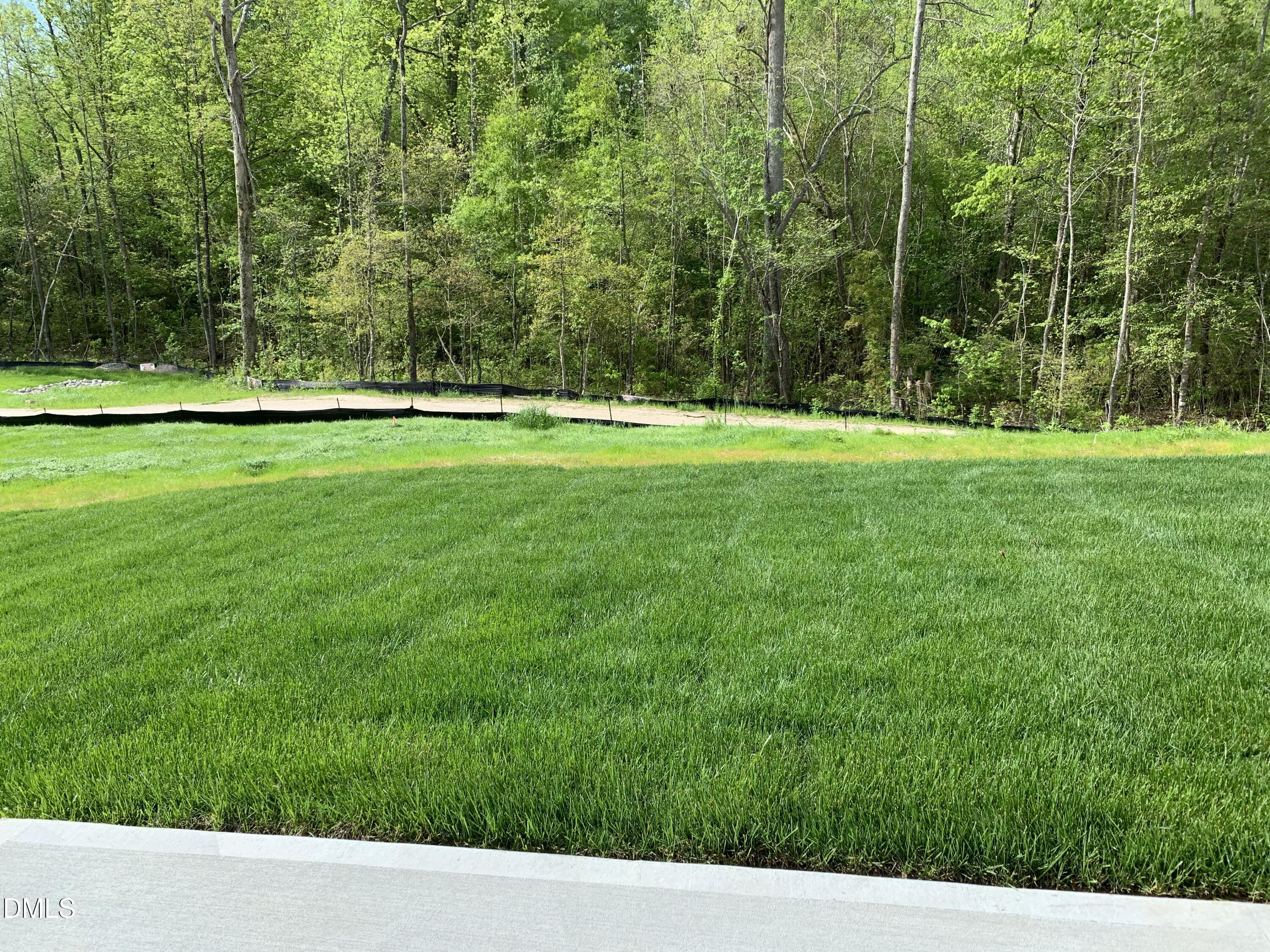 1249 Turkey Trot Road Wendell, NC 27591 - Photo 29 of 42 a view of yard with a small yard