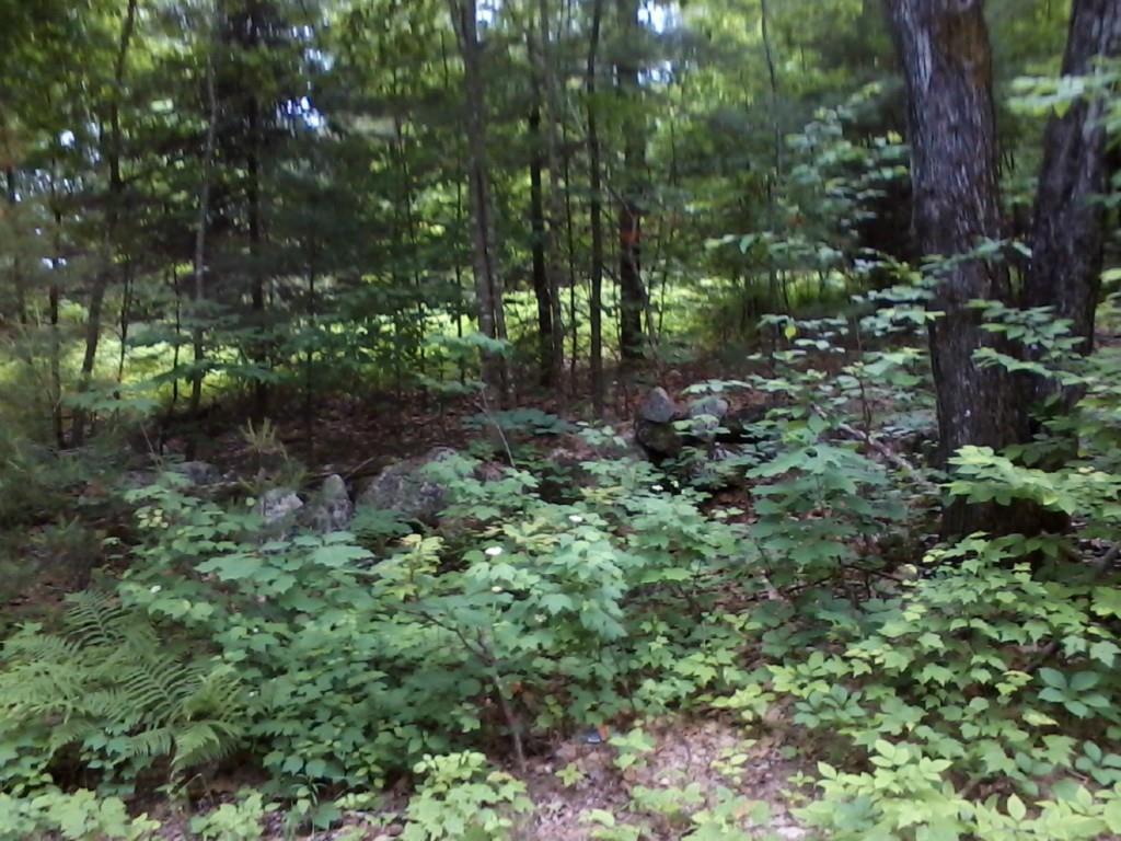 0 Northwest Round-The-Pond Road Norway, ME 04268 - Photo 23 of 25 Photo