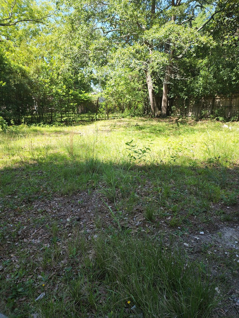 30 Phillips Street Sumter, SC 29150 - Photo 3 of 8 Gallery Image 3