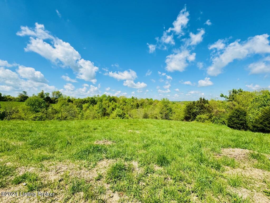 953 Haydon Bros Road Springfield, KY 40069 - Photo 8 of 9 IMG_8276