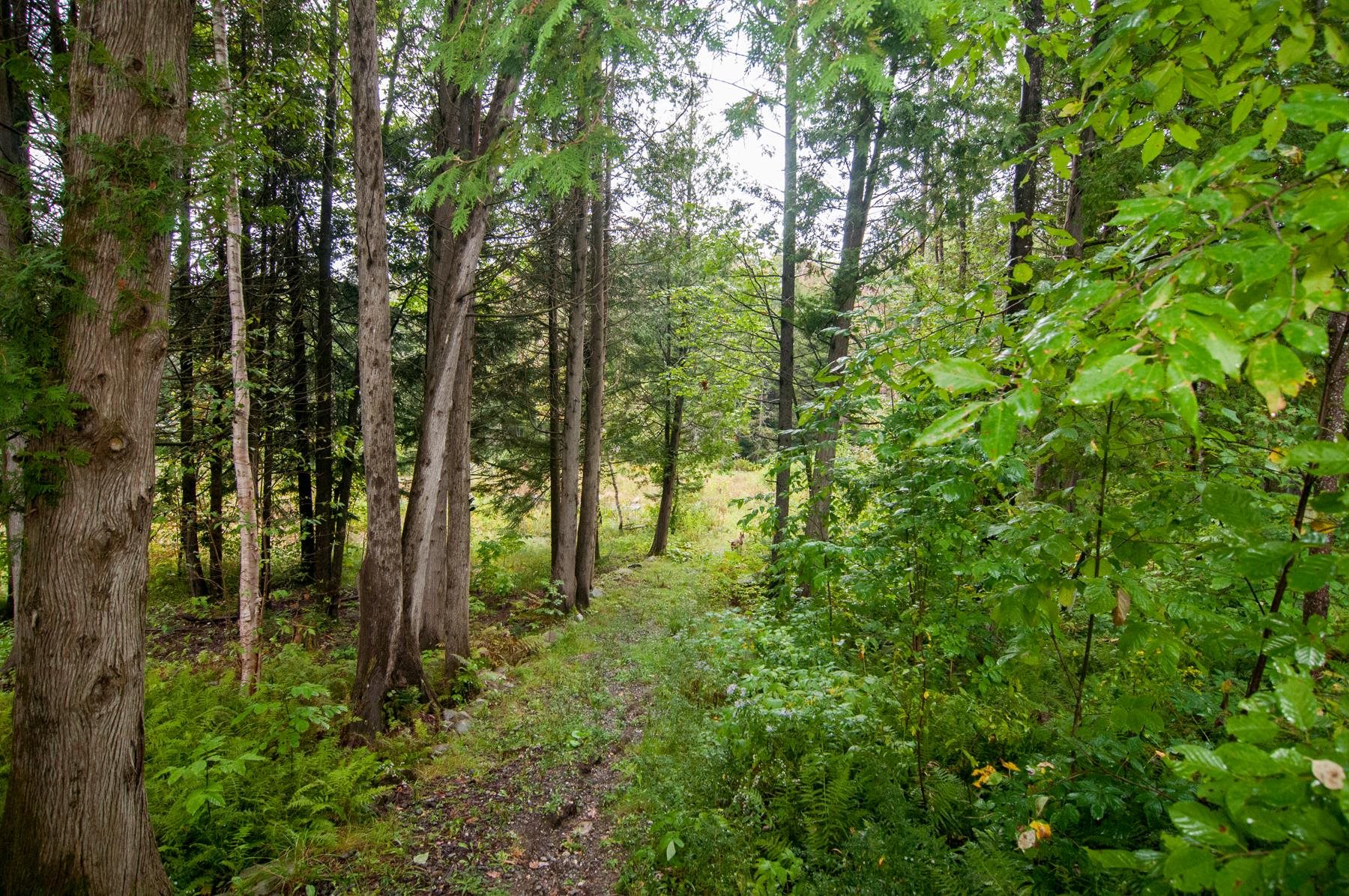 2845 Irish Hill Road Lowell, VT 05847 - Photo 23 of 25