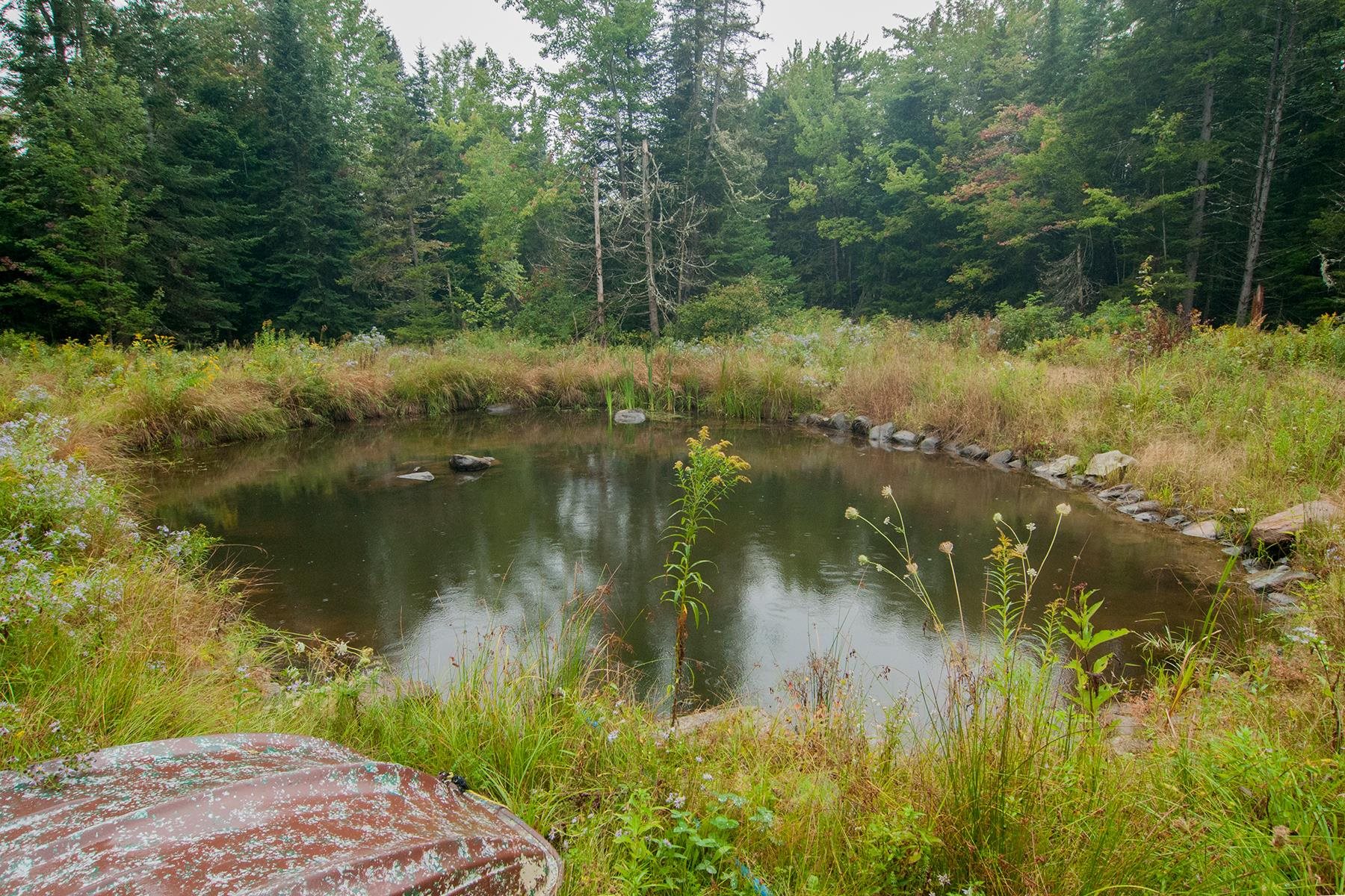 2845 Irish Hill Road Lowell, VT 05847 - Photo 24 of 25