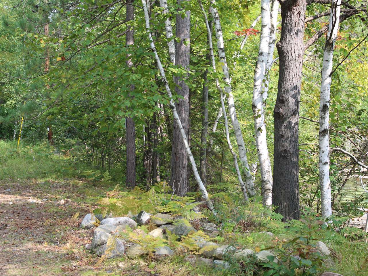 Gallery Image 6