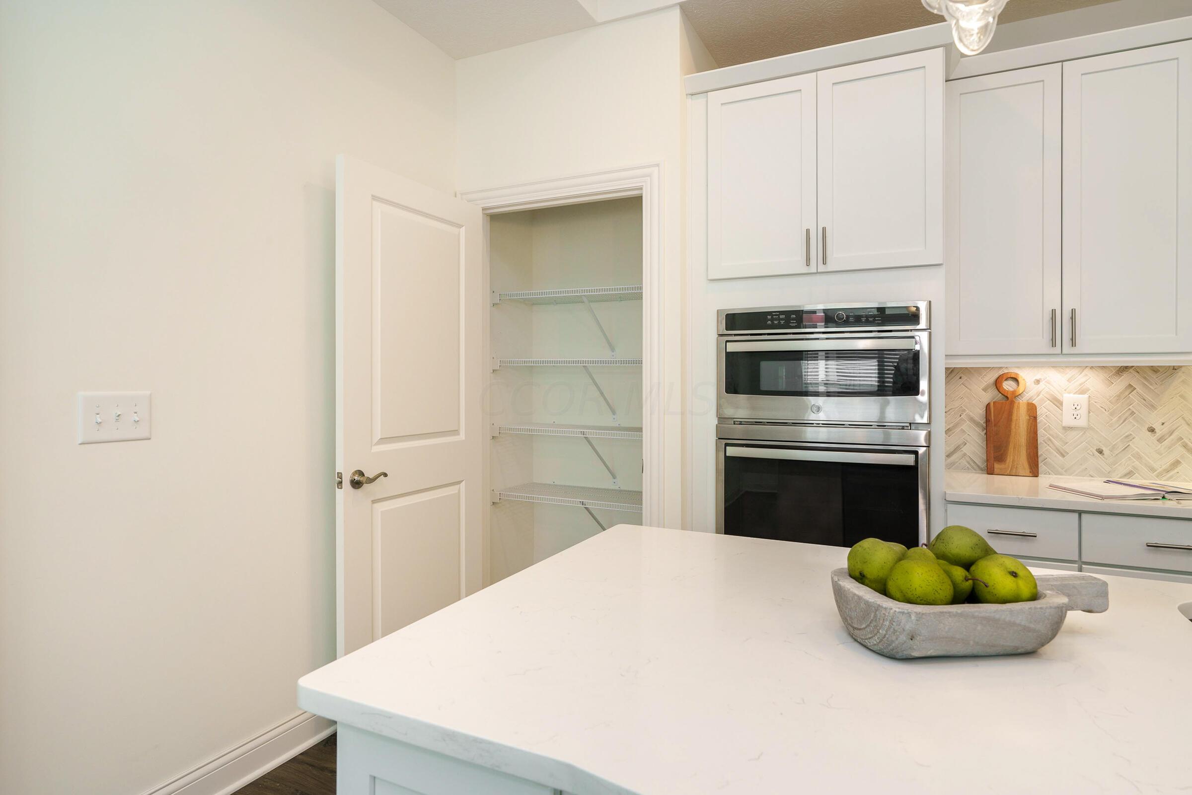 3243 Scioto Rdg Road Dublin, OH 43017 - Photo 17 of 51 Generous pantry storage and built-in ovens