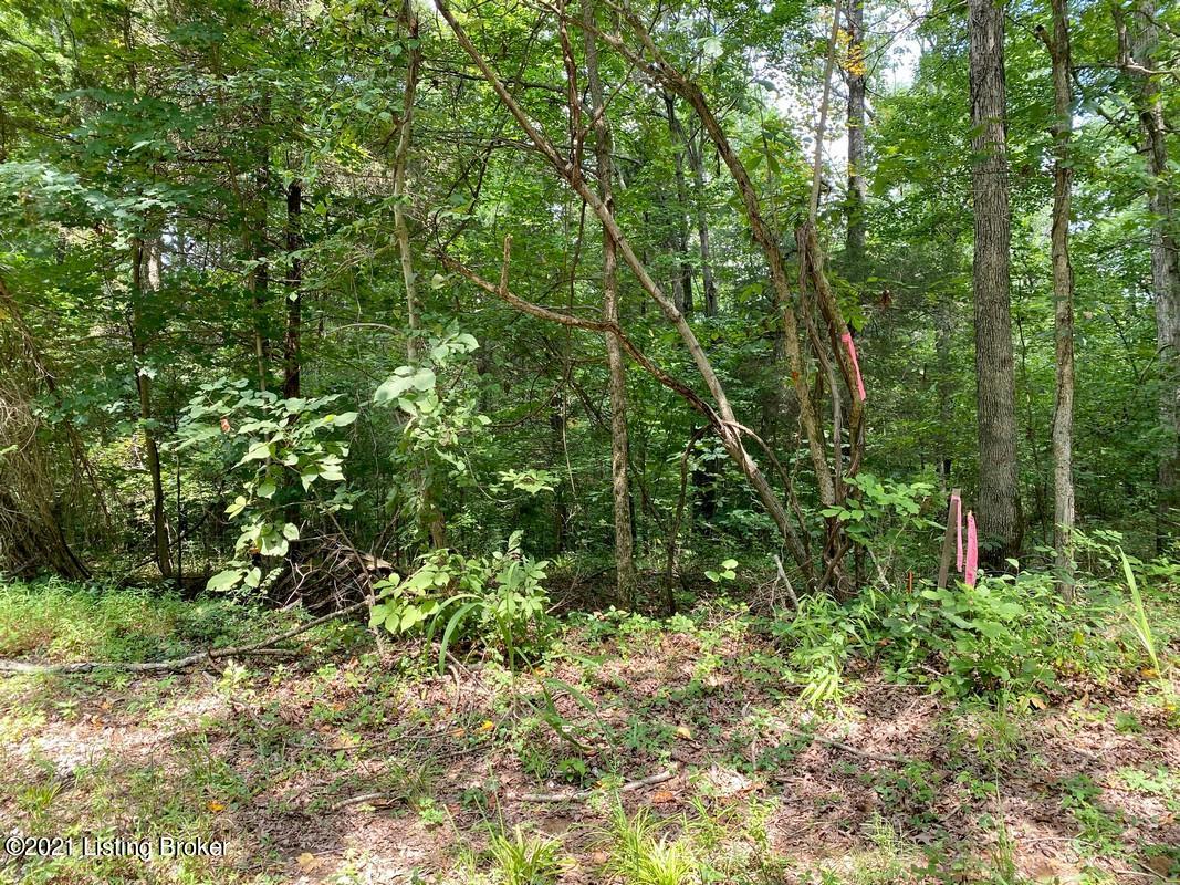 Lot 6-0 Wax Road Clarkson, KY 42726 - Photo 4 of 8 Logsdon Acres North Farm3