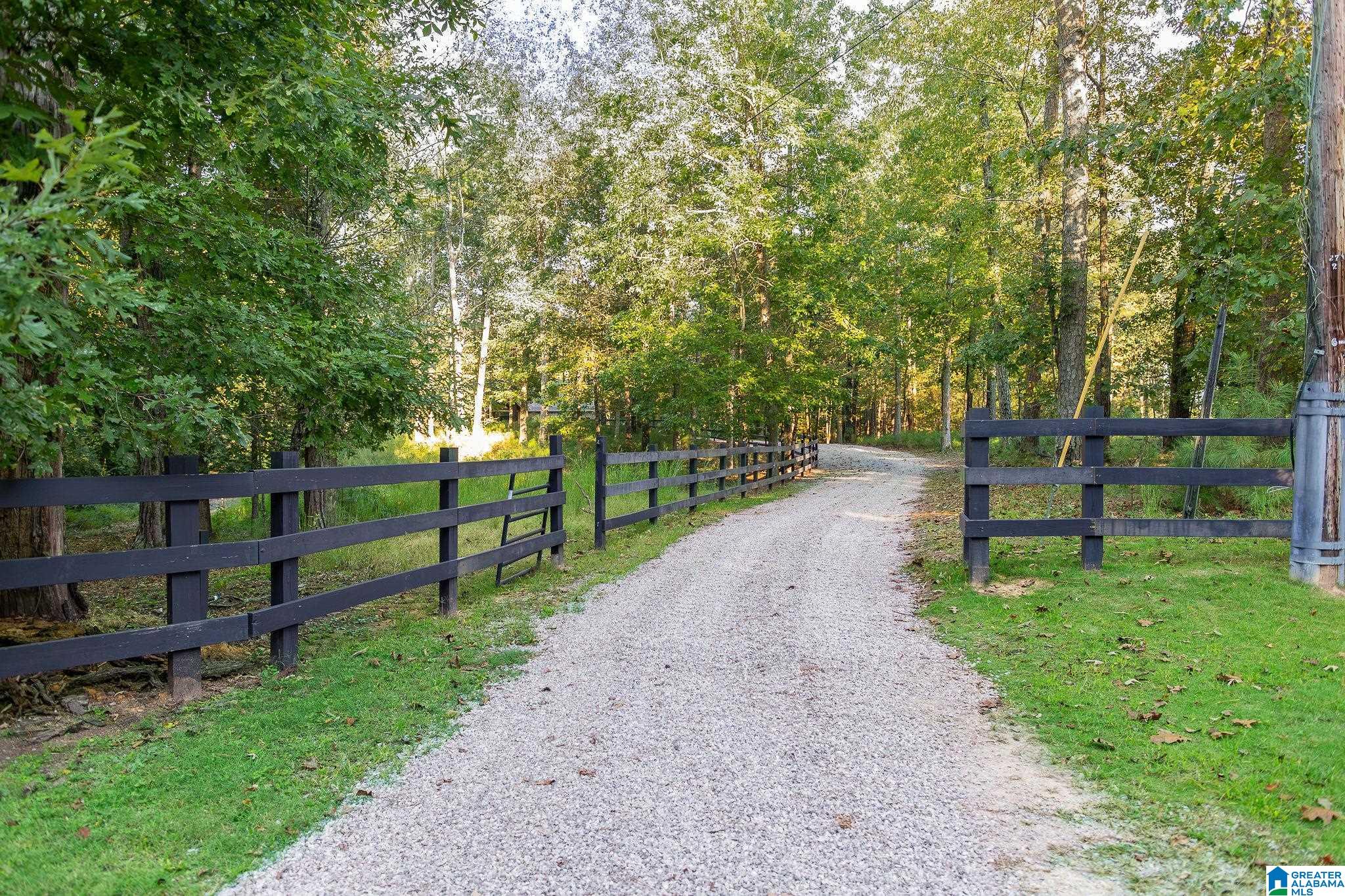 7698 Dollar Road Trussville, AL 35173 - Photo 7 of 49