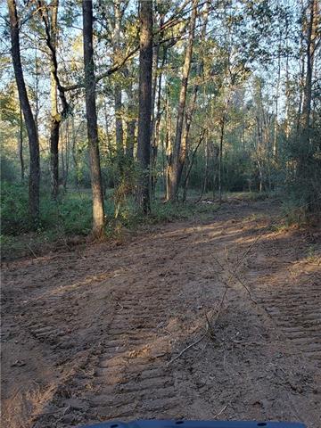 72 Lawrence Reid Road Tylertown, MS 39667 - Photo 8 of 13