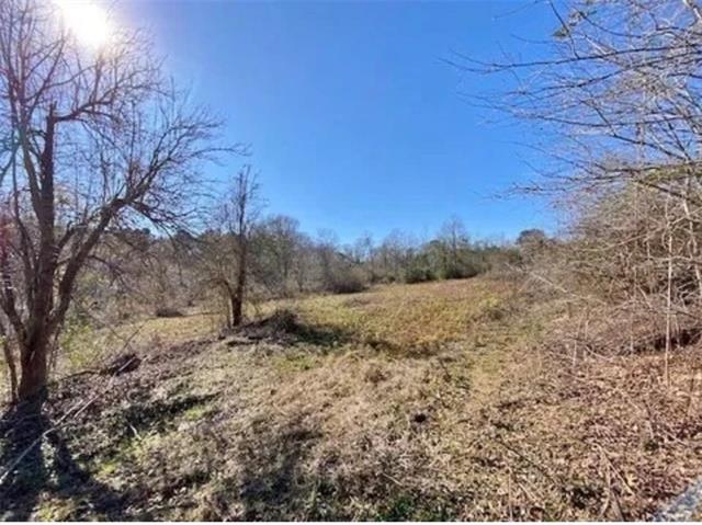 72 Lawrence Reid Road Tylertown, MS 39667 - Photo 10 of 13