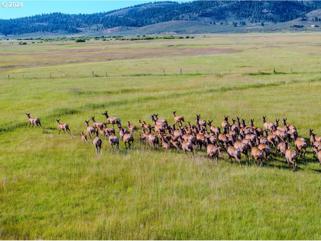 45371 Hackmore Drive Seneca, OR 97873 - Photo 34 of 37 a view of ocean view
