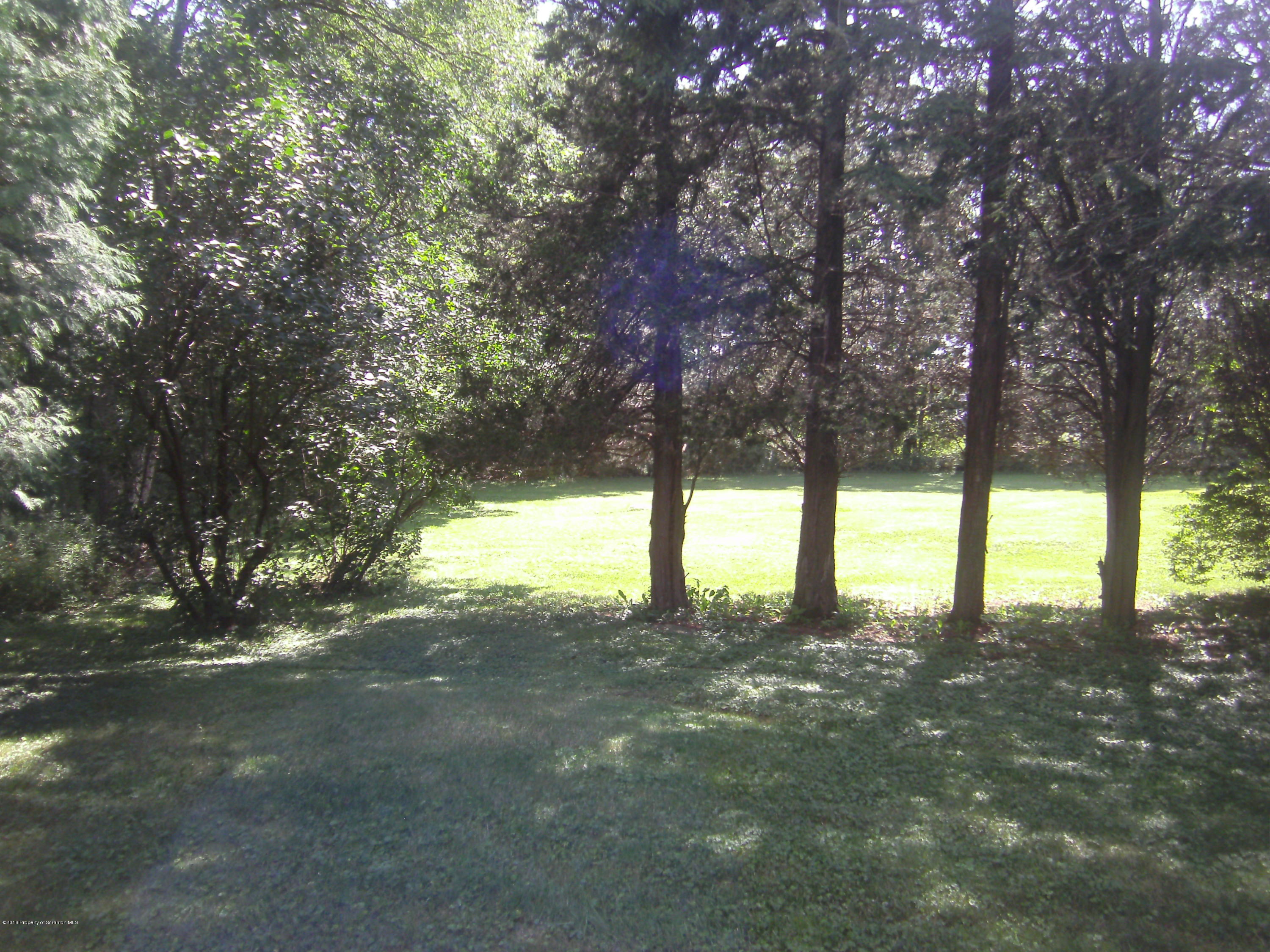 855 Becks Crossing Road Moscow, PA 18444 - Photo 35 of 43 a view of yard from a tree