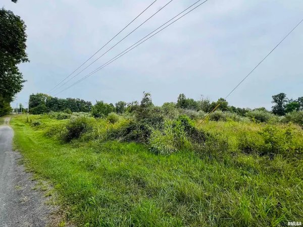 a view of a field with a tree