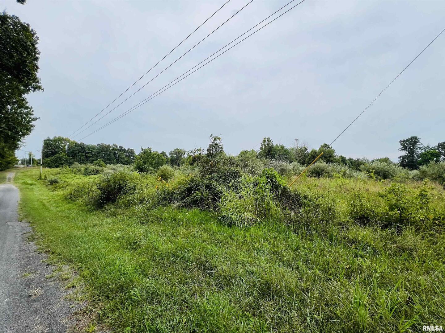 0 South County Line Road West Frankfort, IL 62896 - Photo 11 of 12 a view of a field of grass and trees