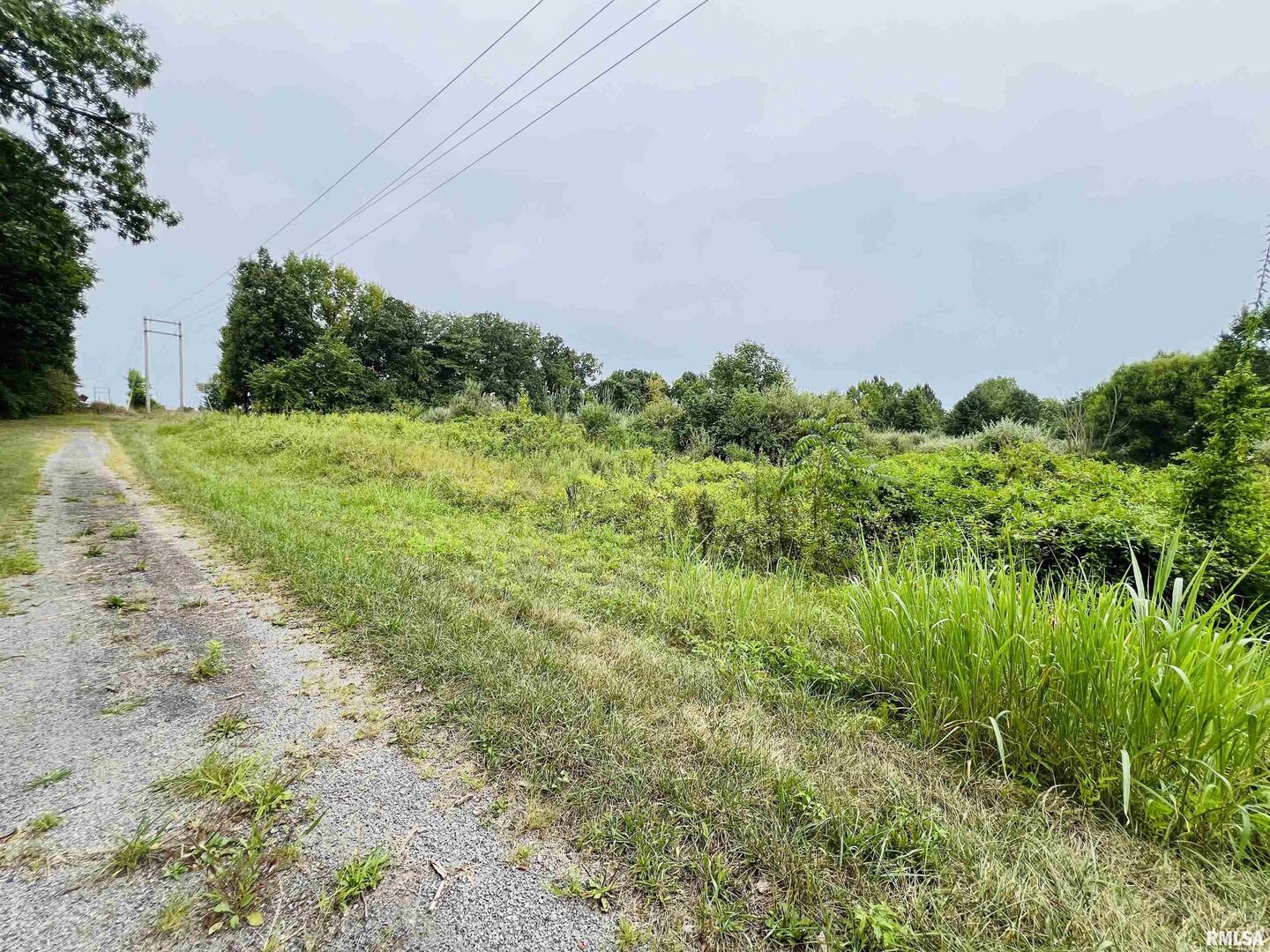 0 South County Line Road West Frankfort, IL 62896 - Photo 12 of 12 a view of a field with a tree
