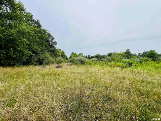 $62,500 | 0 South County Line Road, West Frankfort, IL 62896