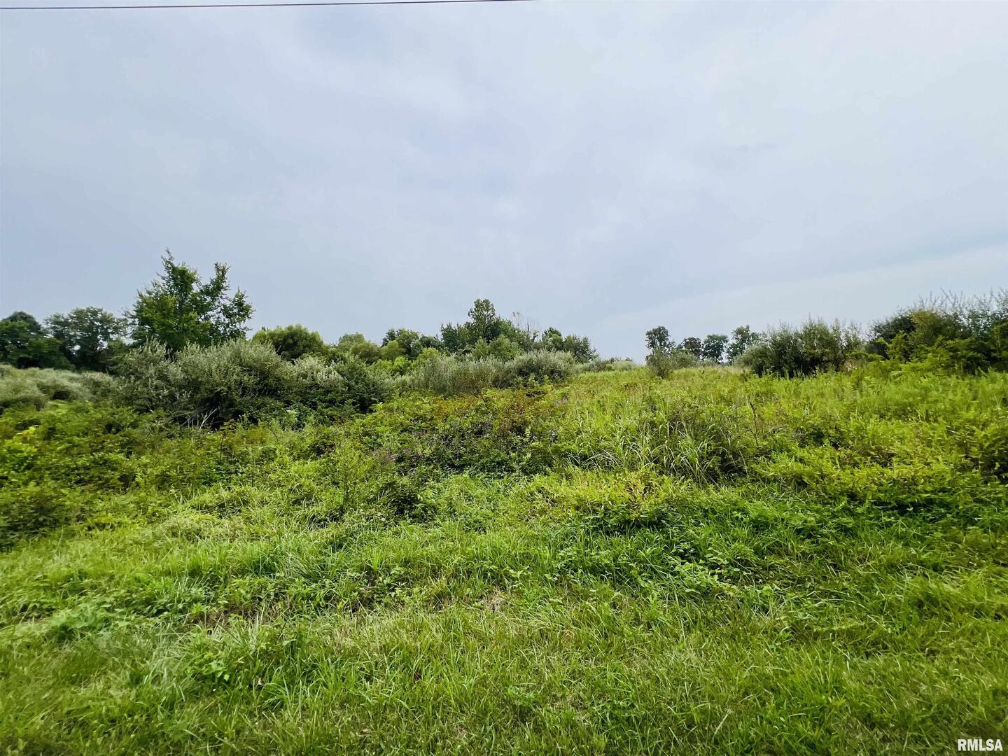 0 South County Line Road West Frankfort, IL 62896 - Photo 8 of 12 a view of a field of grass and trees