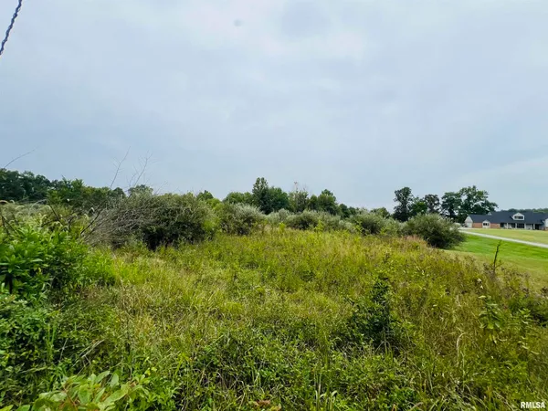a view of a field of grass and trees