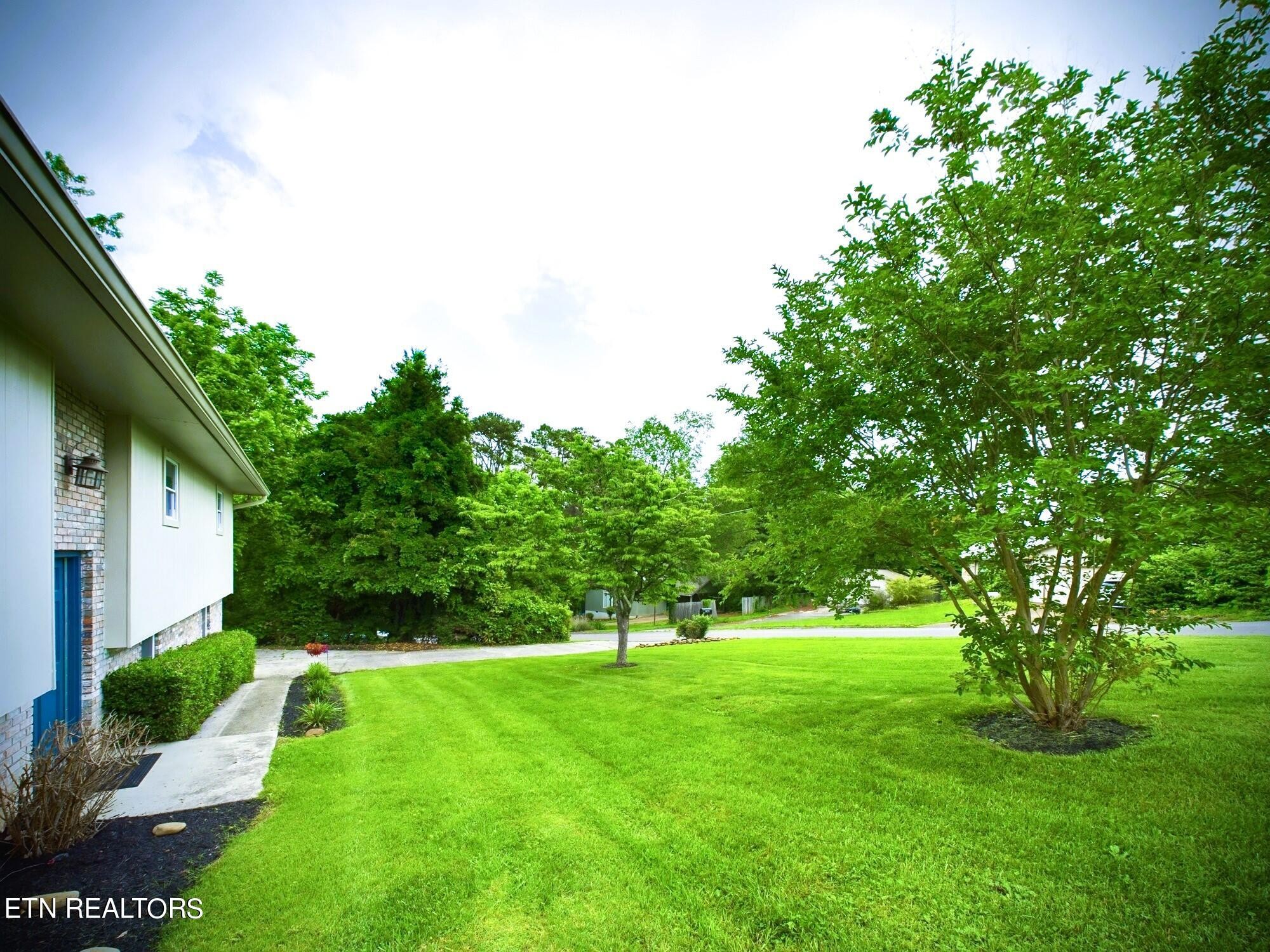 6105 Ricky Allen Road Corryton, TN 37721 - Photo 6 of 53