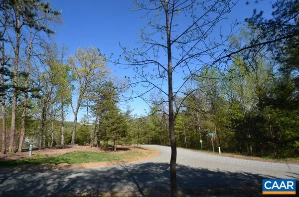a view of a yard with a tree