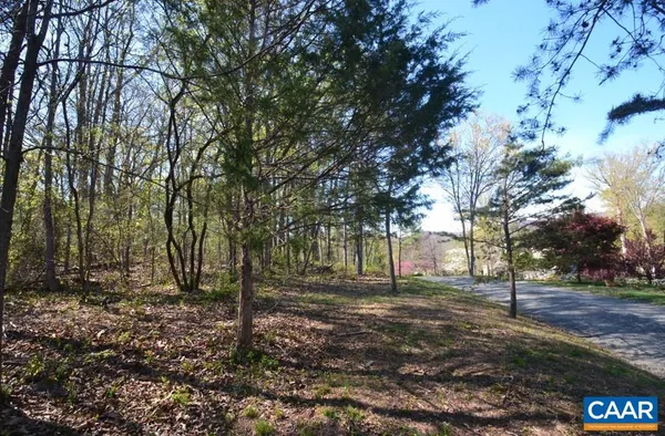 a view of road with trees