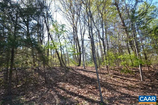 a view of outdoor space with trees