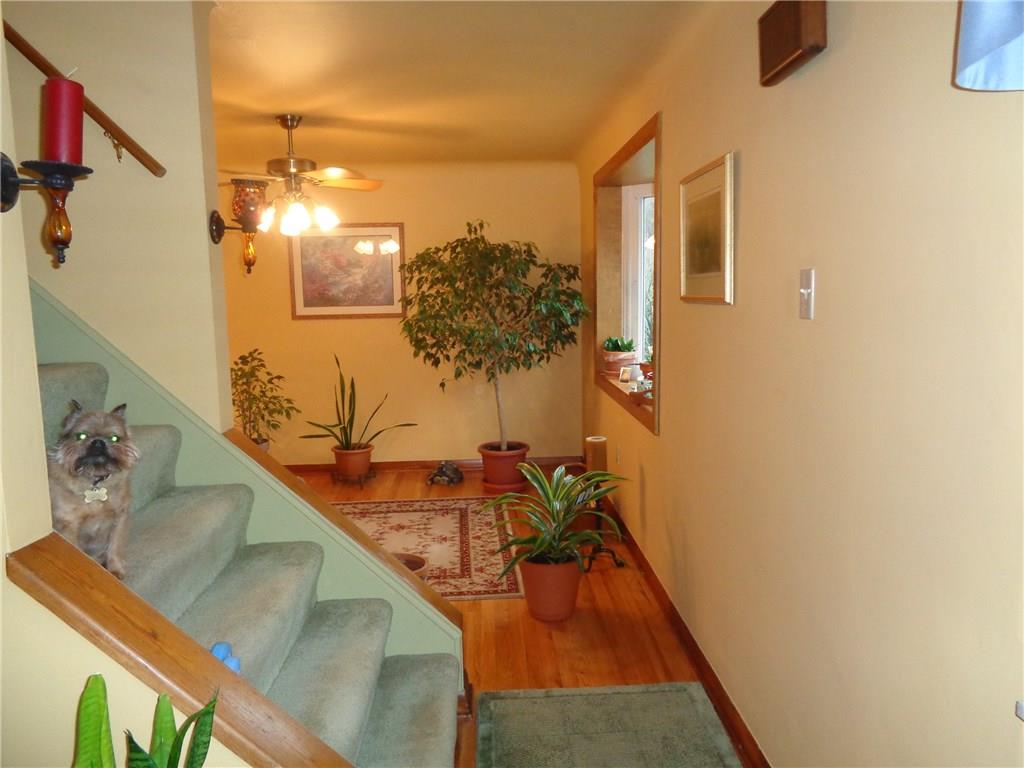 124 KIngs Road Braddock Hills, PA 15221 - Photo 5 of 25 Gallery Image 5