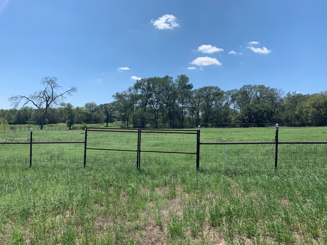 133 Clearfork Road Lockhart, TX 78644 - Photo 14 of 19