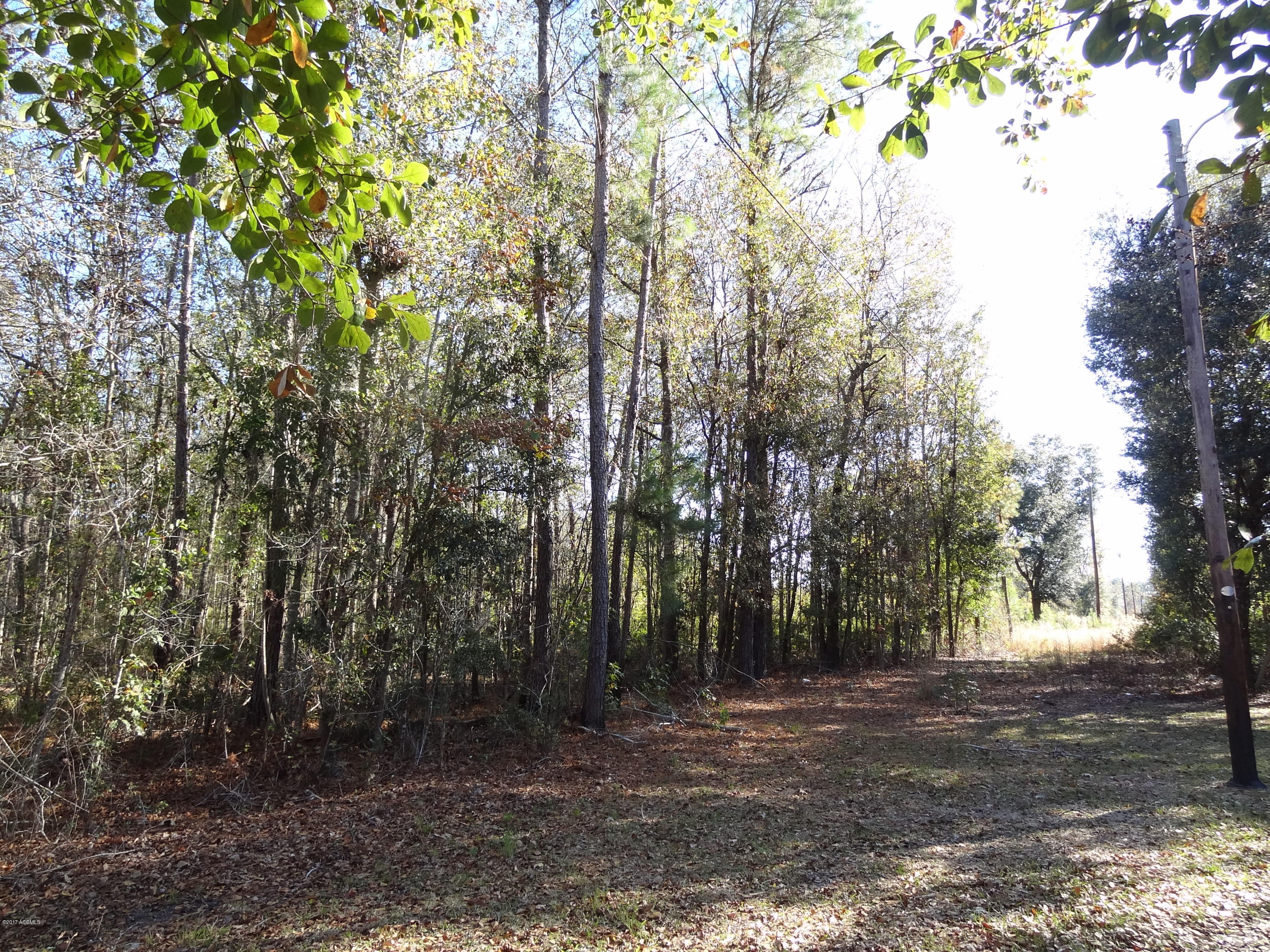 331 County Shed Road Beaufort, SC 29906 - Photo 5 of 23 2017-12-11 15.46.17