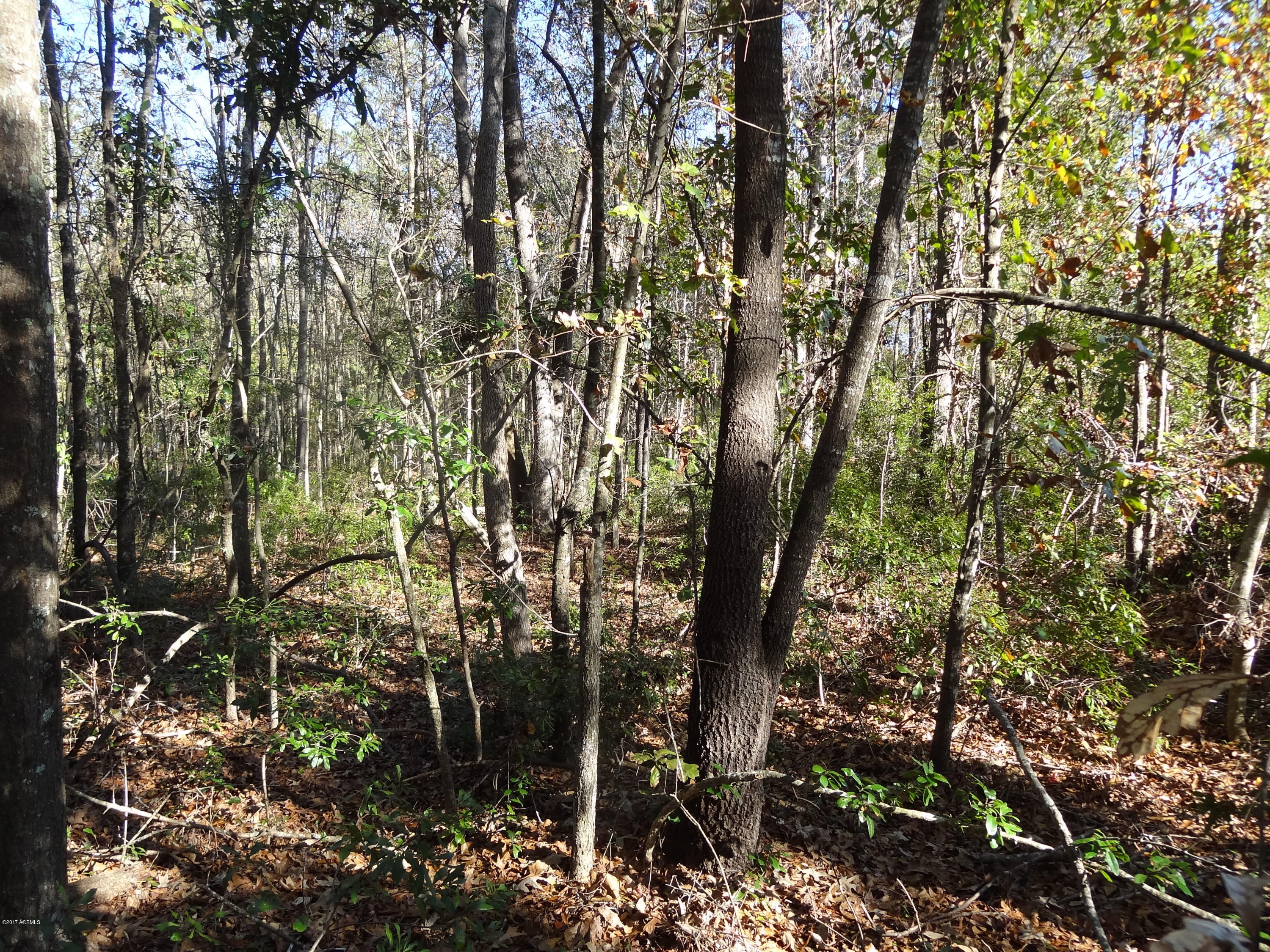 331 County Shed Road Beaufort, SC 29906 - Photo 9 of 23 2017-12-11 15.50.59