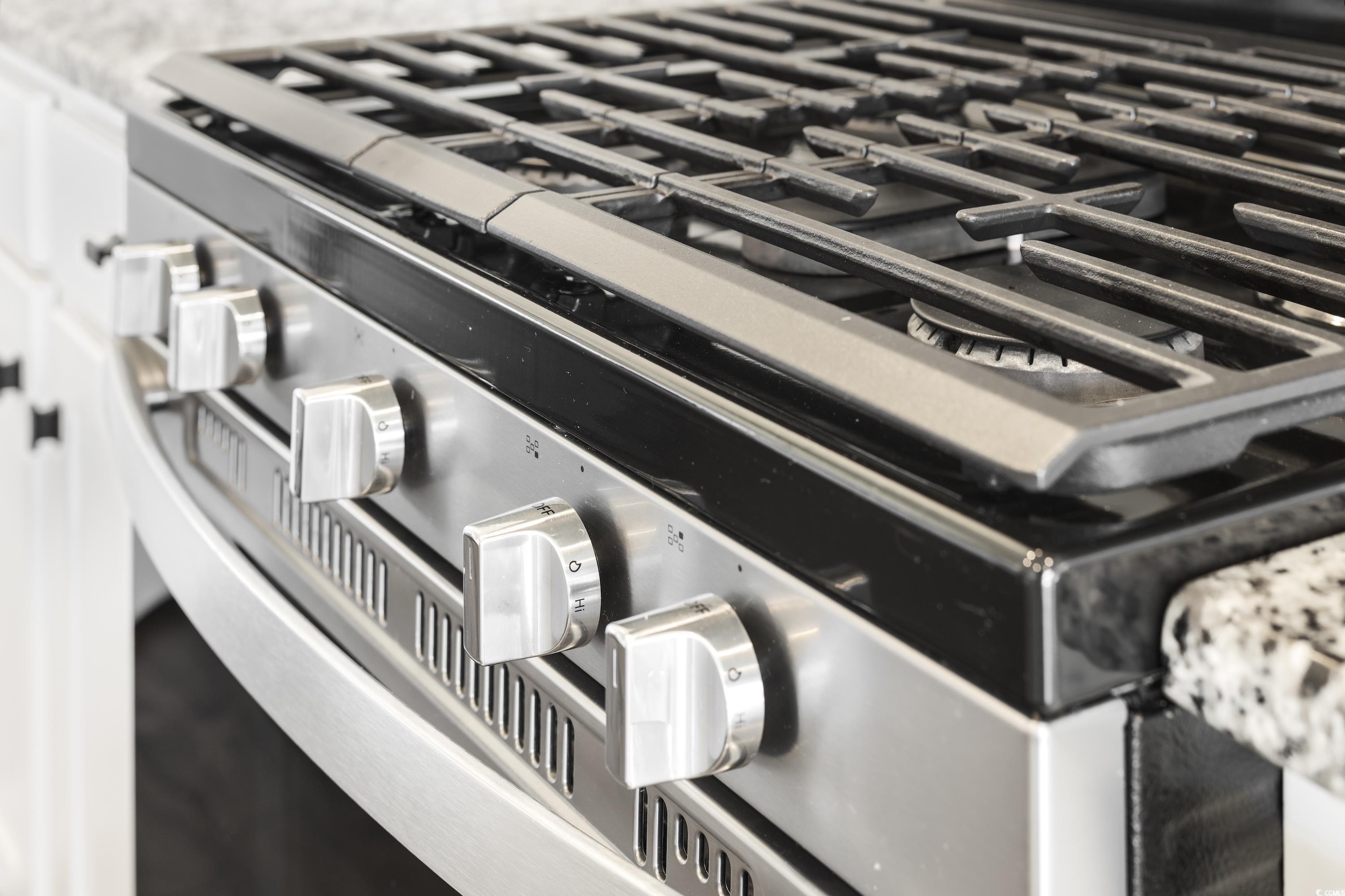 1715 Perthshire Loop Myrtle Beach, SC 29579 - Photo 10 of 40