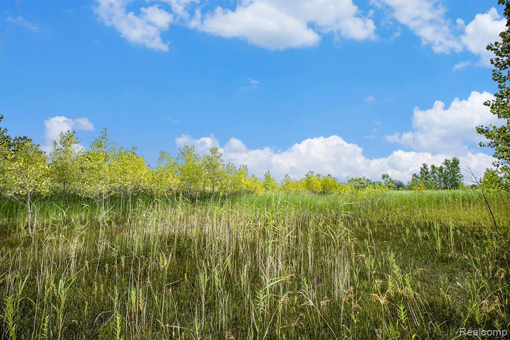 29988 Armada Ridge Road Richmond, MI 48062 - Photo 12 of 25