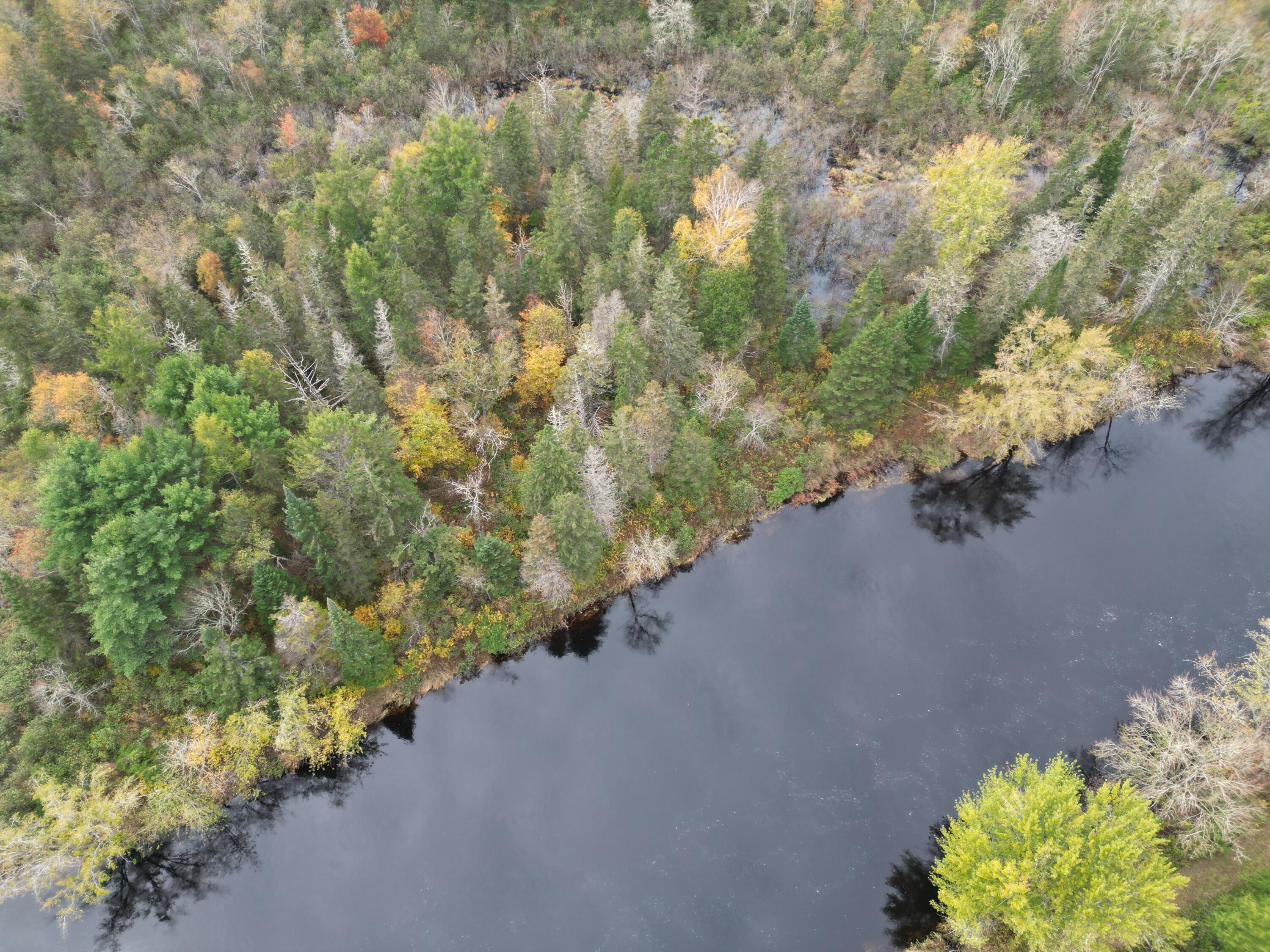 6 Danforth Road Haynesville, ME 04497 - Photo 8 of 42 6