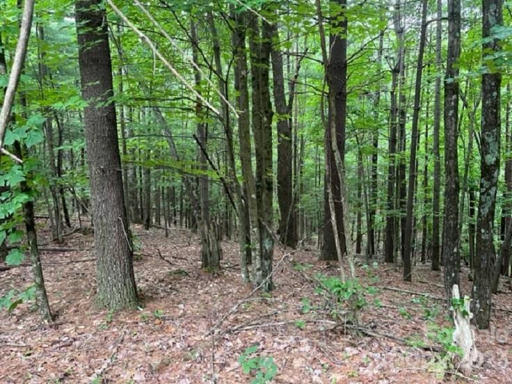 0 Fire Tower Road, Unit 7 Bostic, NC 28018 - Photo 10 of 11 Gallery Image 10