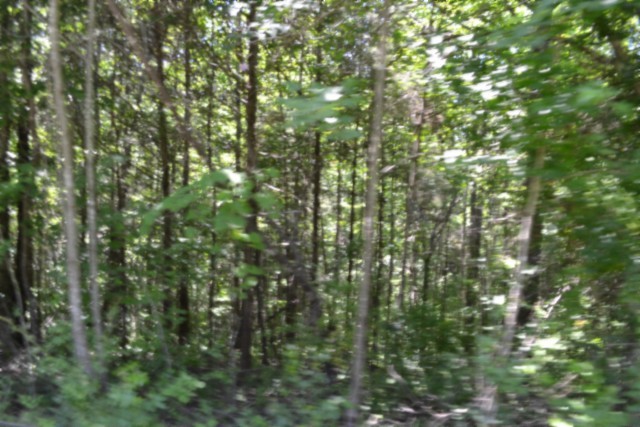 0 Pea Ridge Fire Tower Road Celina, TN 38551 - Photo 8 of 53