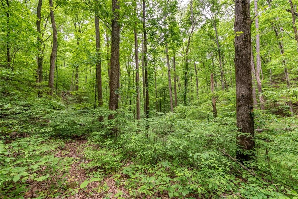 595 Bull Gap Road Talking Rock, GA 30175 - Photo 62 of 71 Gallery Image 62