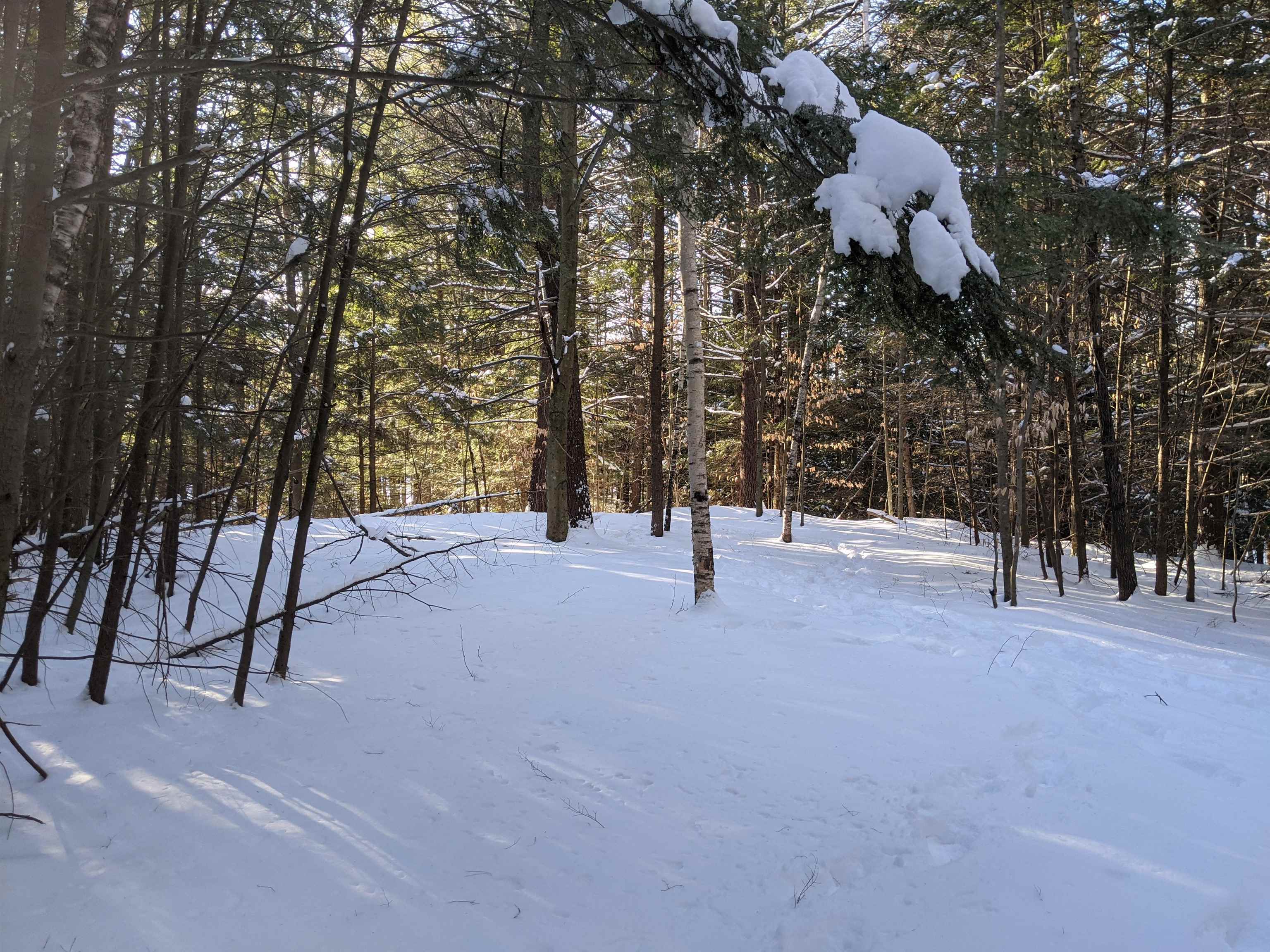 Blake Road Weare, NH 03281 - Photo 3 of 7