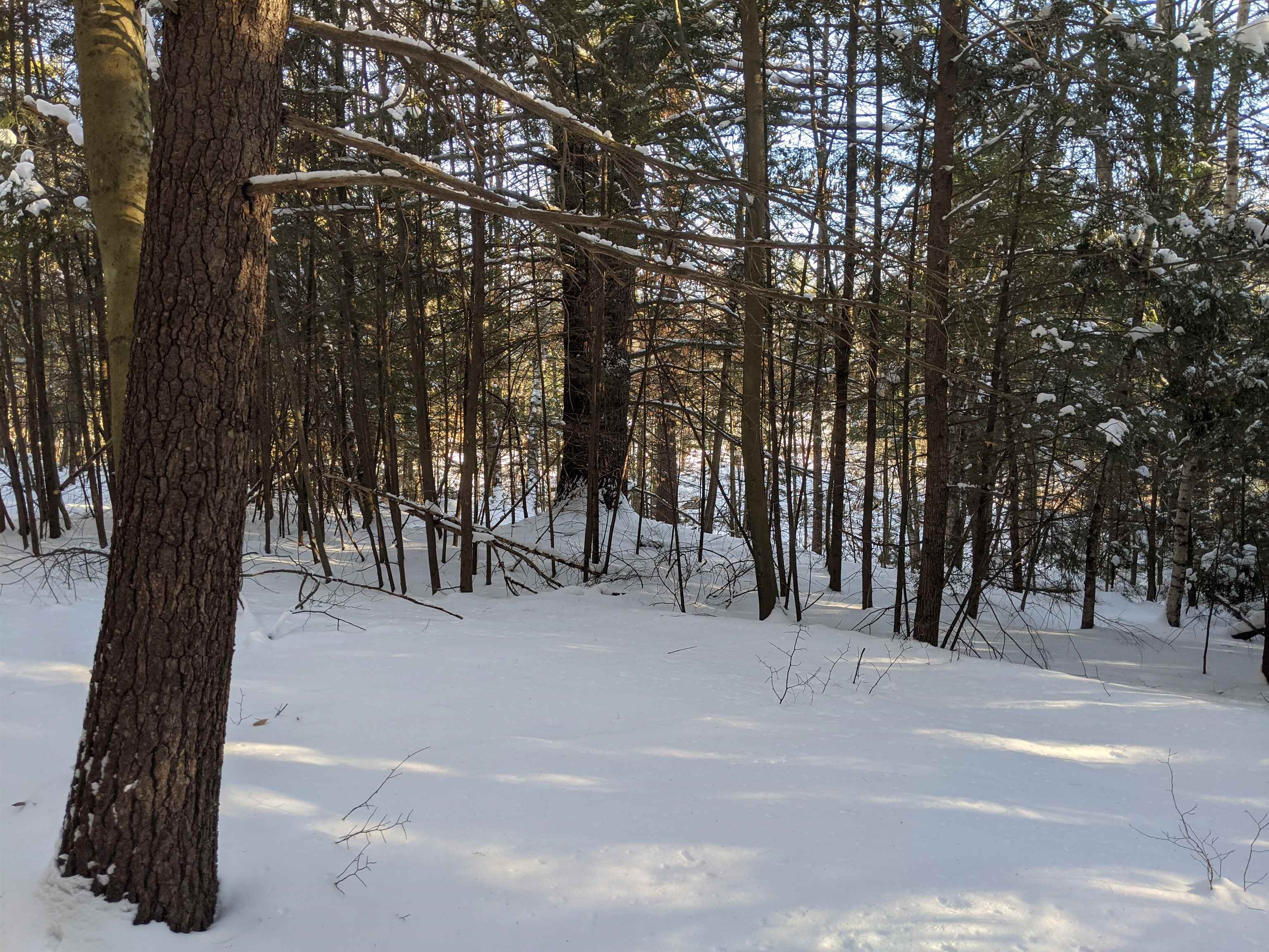 Blake Road Weare, NH 03281 - Photo 4 of 7